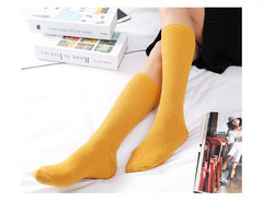 Women's Thin Solid Color Retro Long Socks